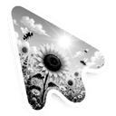 Cursor